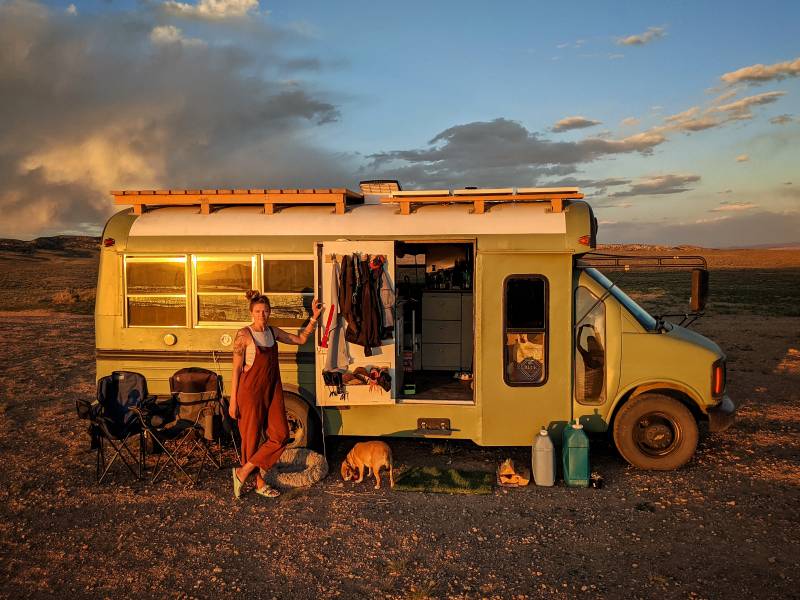 sweet bea in the desert